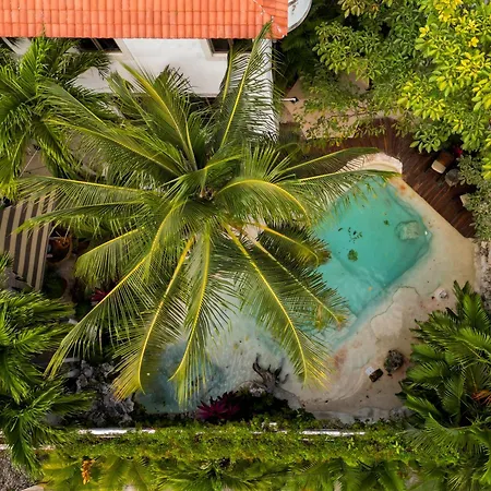 Mezcal Hotel Boutique-3